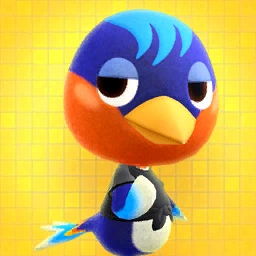 robin